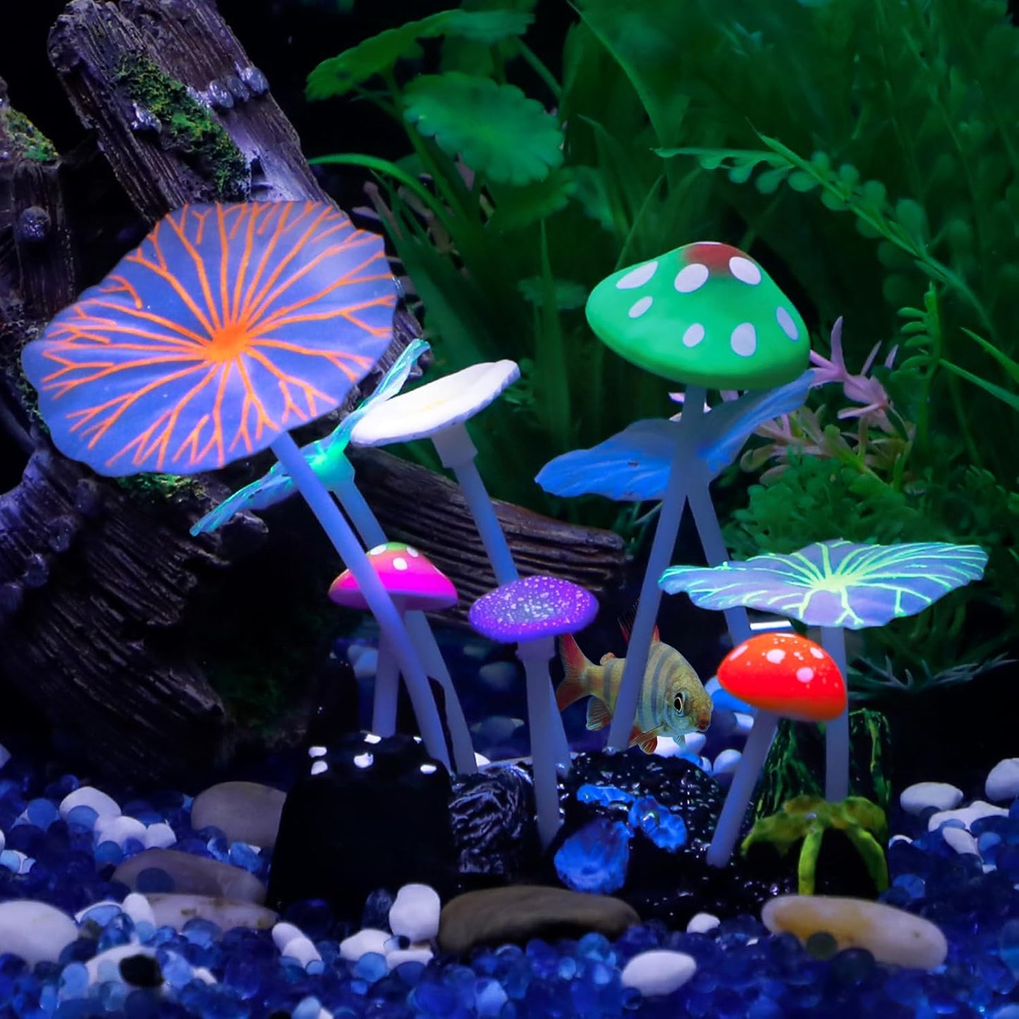 Biolume Forest Mushroom
