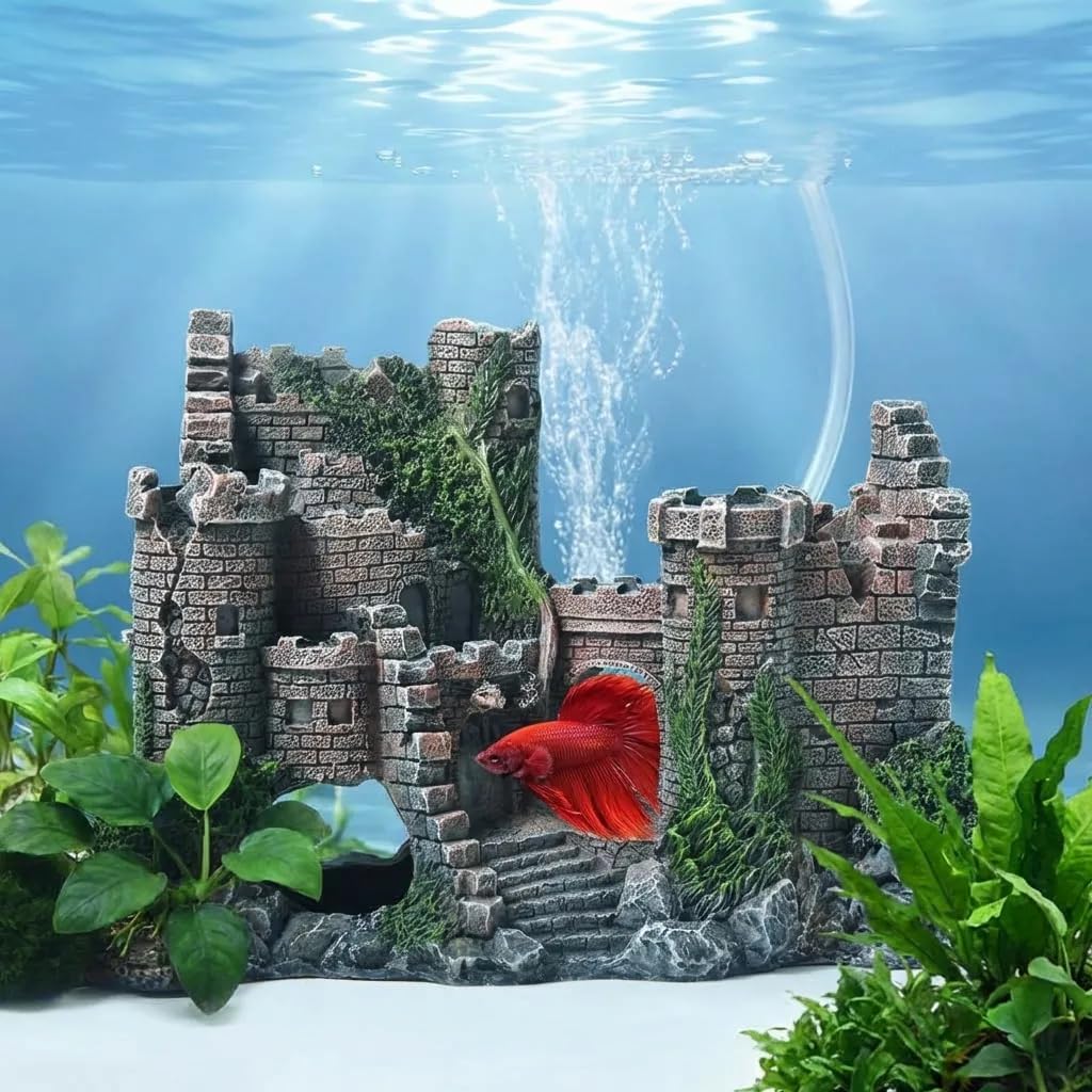 Mystical Bubbling Ruins Castle Sanctuary