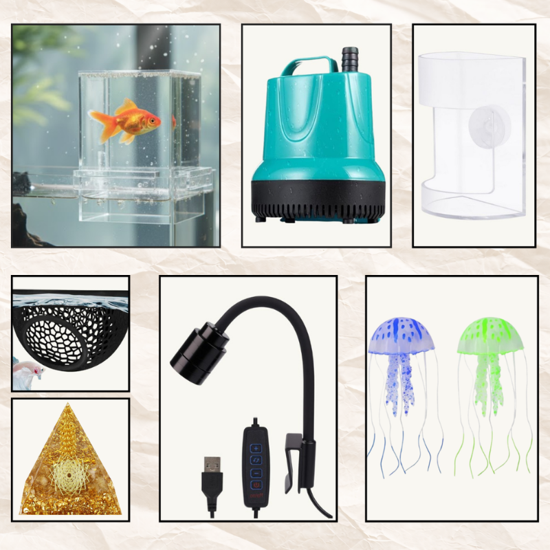 All-in-One Sanctuaries