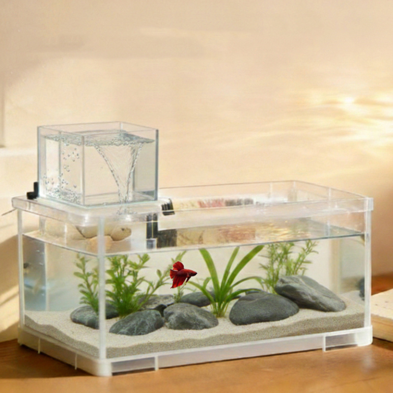 Aqua Care Essentials