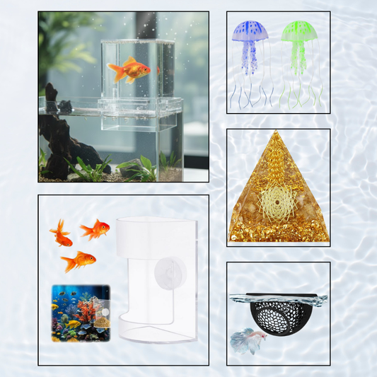 The Zen Box | Essential AeroAquarium™ Starter Kit