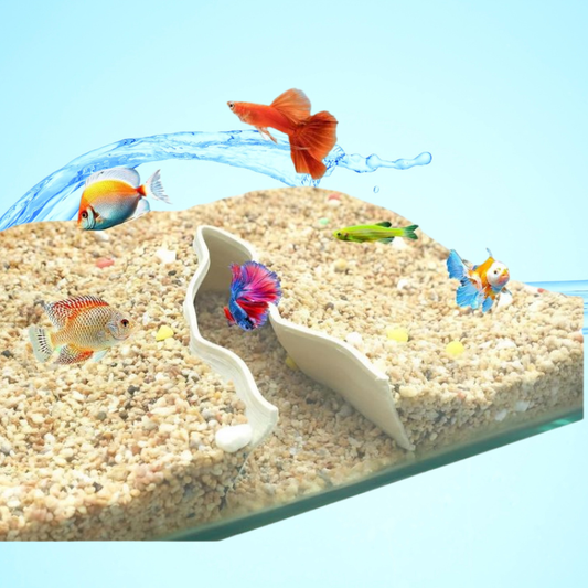 AeroAquarium™ | Der Horizontpfad: Nahtloser Schwimmdurchgang 