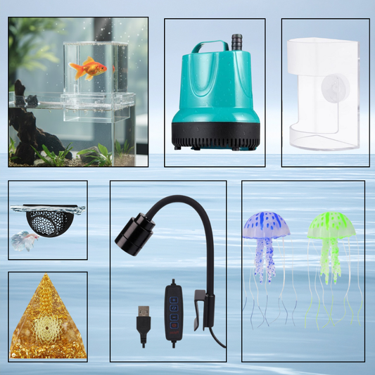 The Master Sanctuary | Pro Maintenance & Lighting Bundle