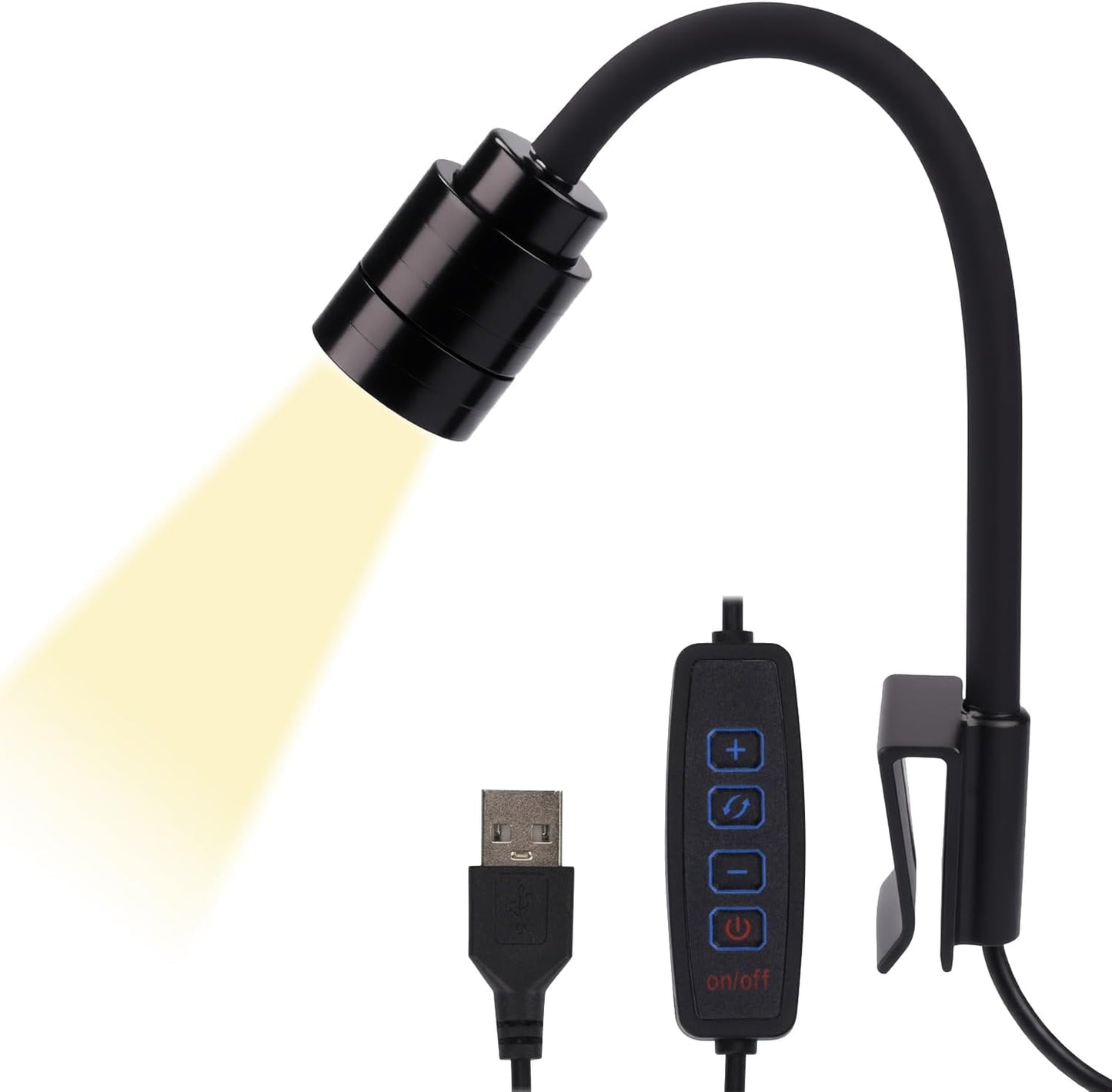 The Master Sanctuary | Pro Maintenance & Lighting Bundle