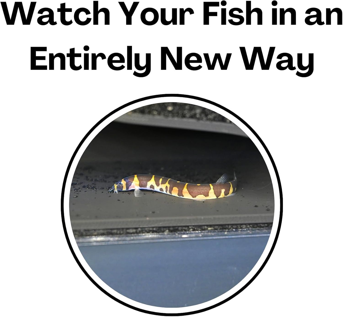 AeroAquarium™ | Subterranean Habitat Cave