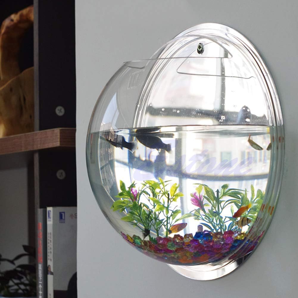 Floating Sphere Wall Sanctuary