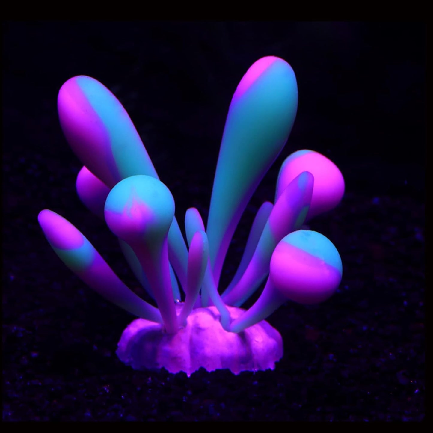 AeroAquarium™ | Die ätherische Blüte: Kinetic Glow Anemone 