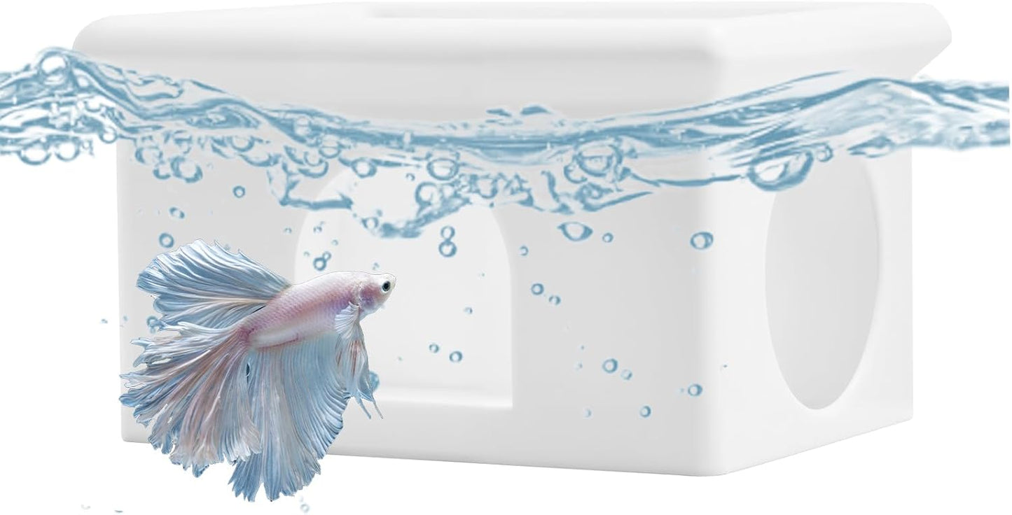 3-in-1 Betta Floating Sanctuary