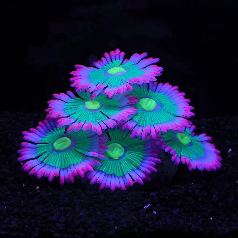 AeroAquarium™ | Die ätherische Blüte: Kinetic Glow Anemone 