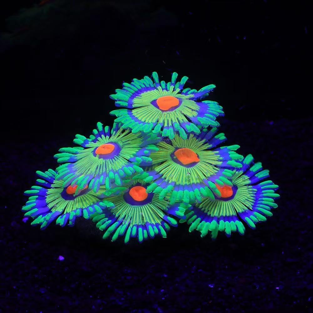 AeroAquarium™ | Die ätherische Blüte: Kinetic Glow Anemone 