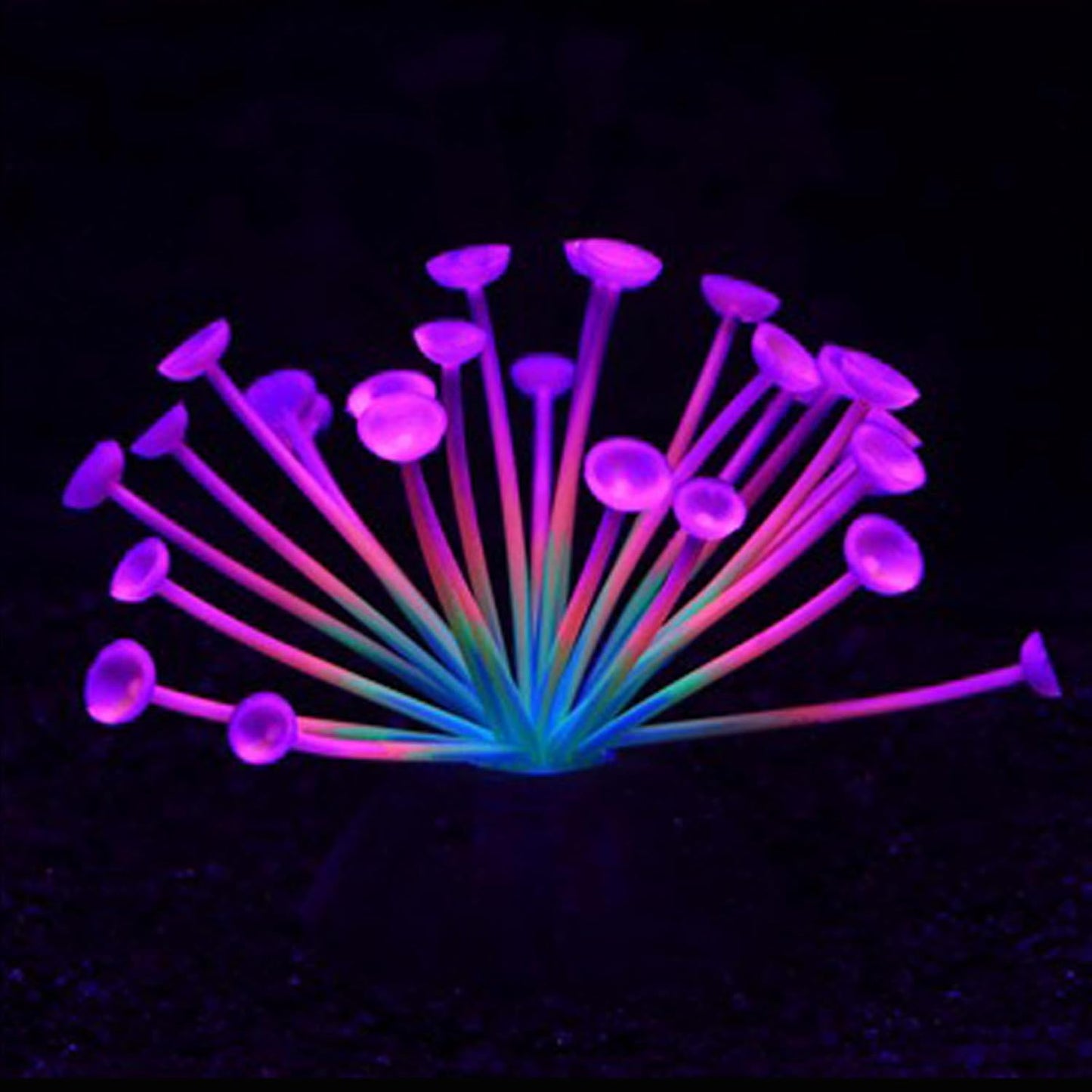 AeroAquarium™ | Die ätherische Blüte: Kinetic Glow Anemone 
