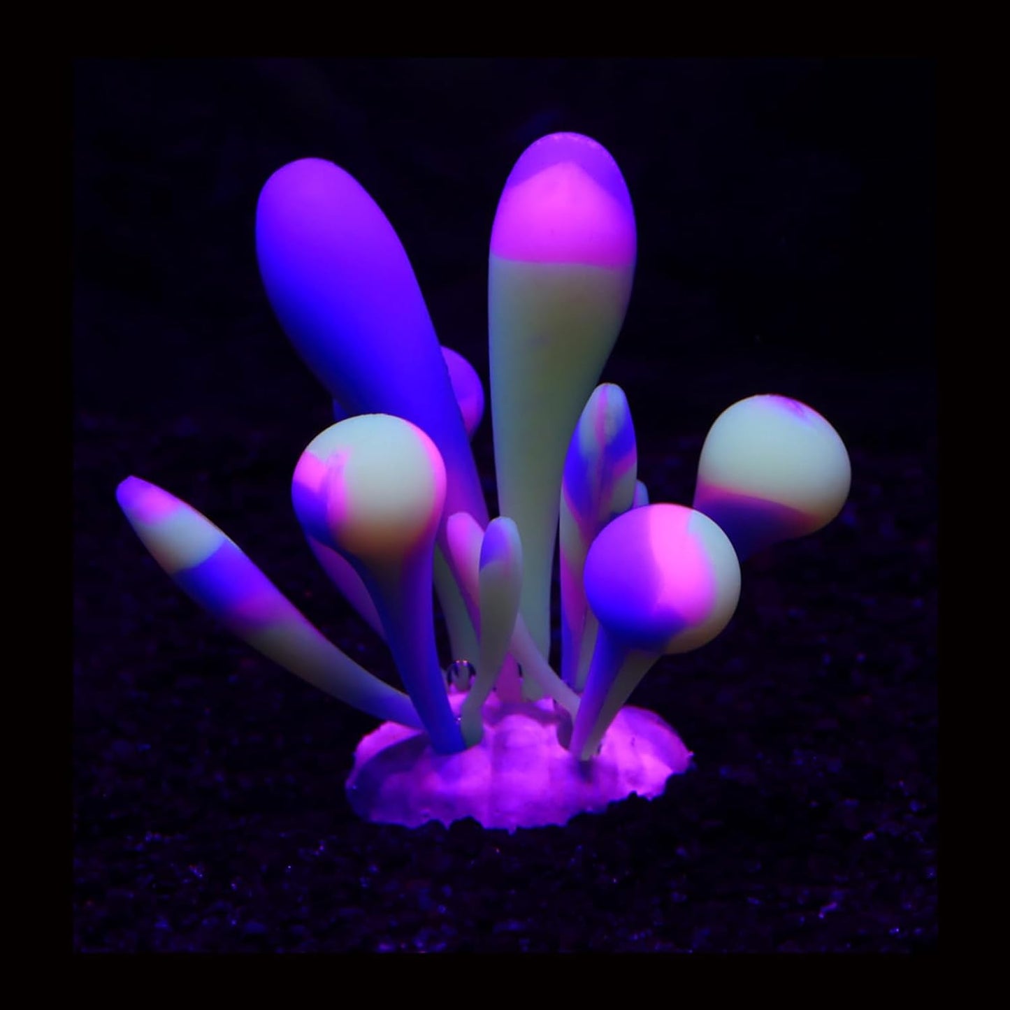 AeroAquarium™ | Die ätherische Blüte: Kinetic Glow Anemone 