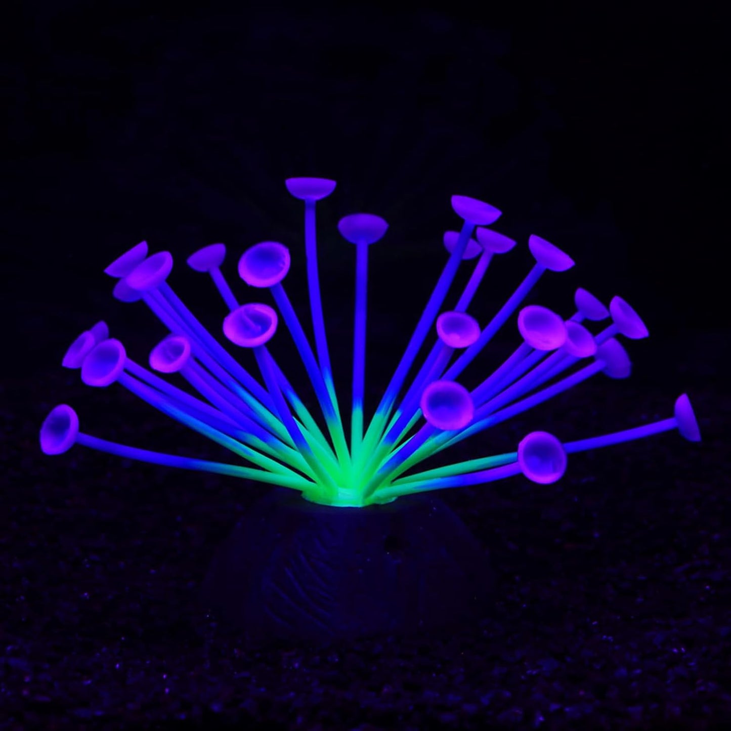 AeroAquarium™ | Die ätherische Blüte: Kinetic Glow Anemone 