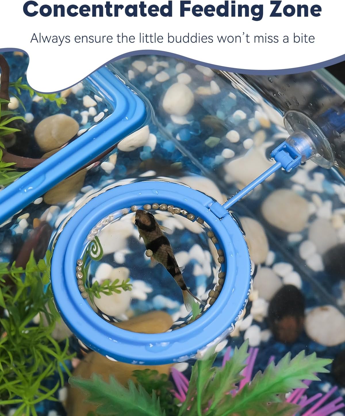 AeroAquarium™ | Der Orbit-Ring: Oberflächenmanagement-Duo 