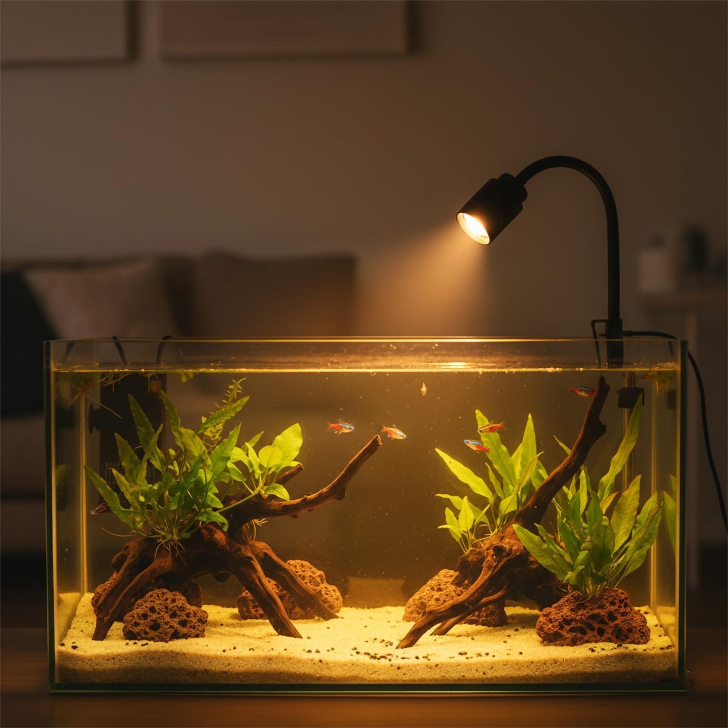 AeroAquarium™ | Mini USB Spotlight