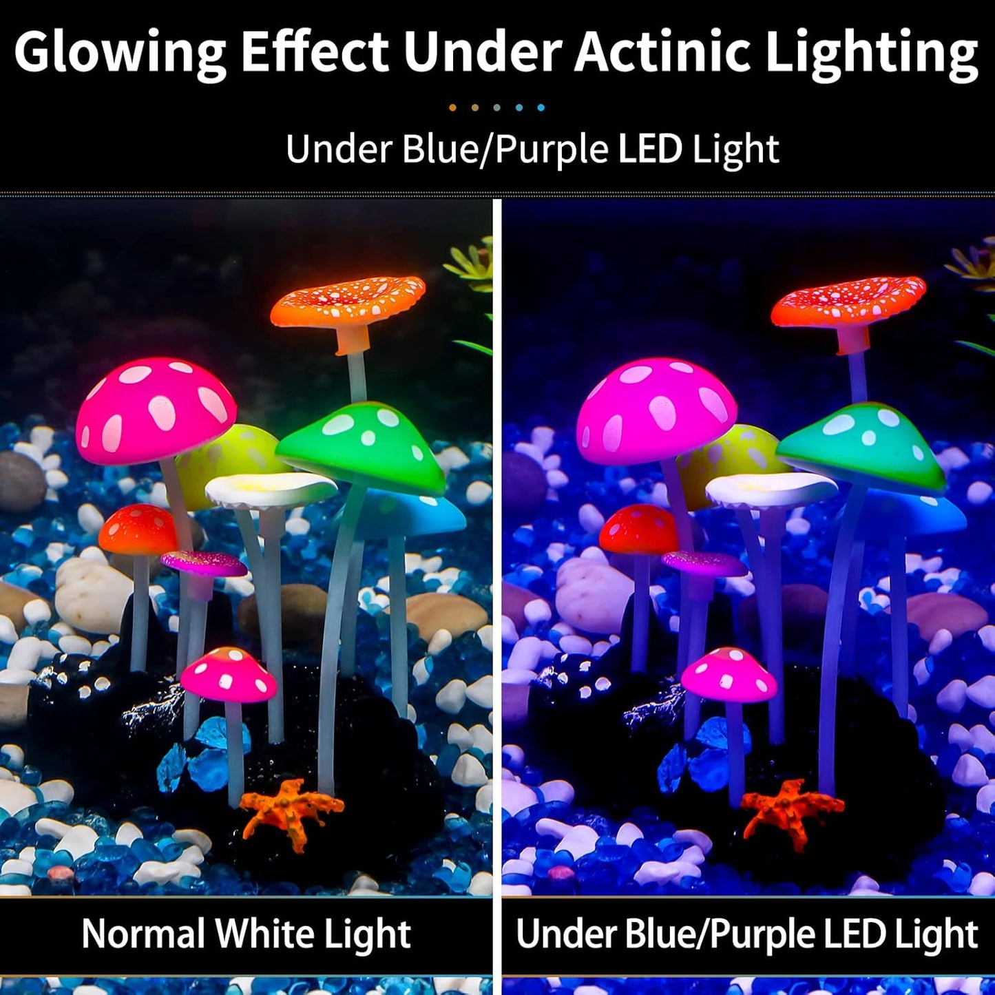 Biolume Forest Mushroom