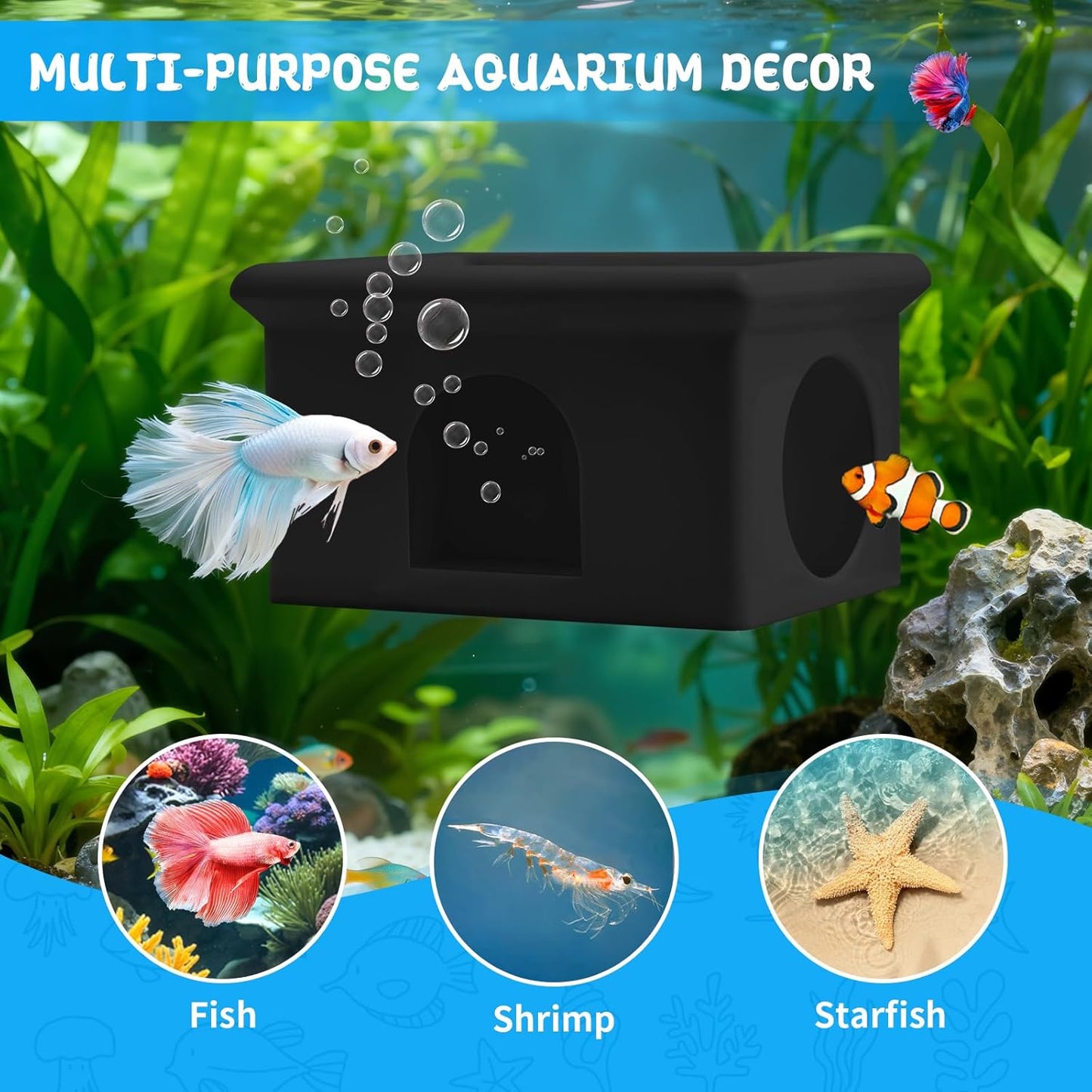 3-in-1 Betta Floating Sanctuary