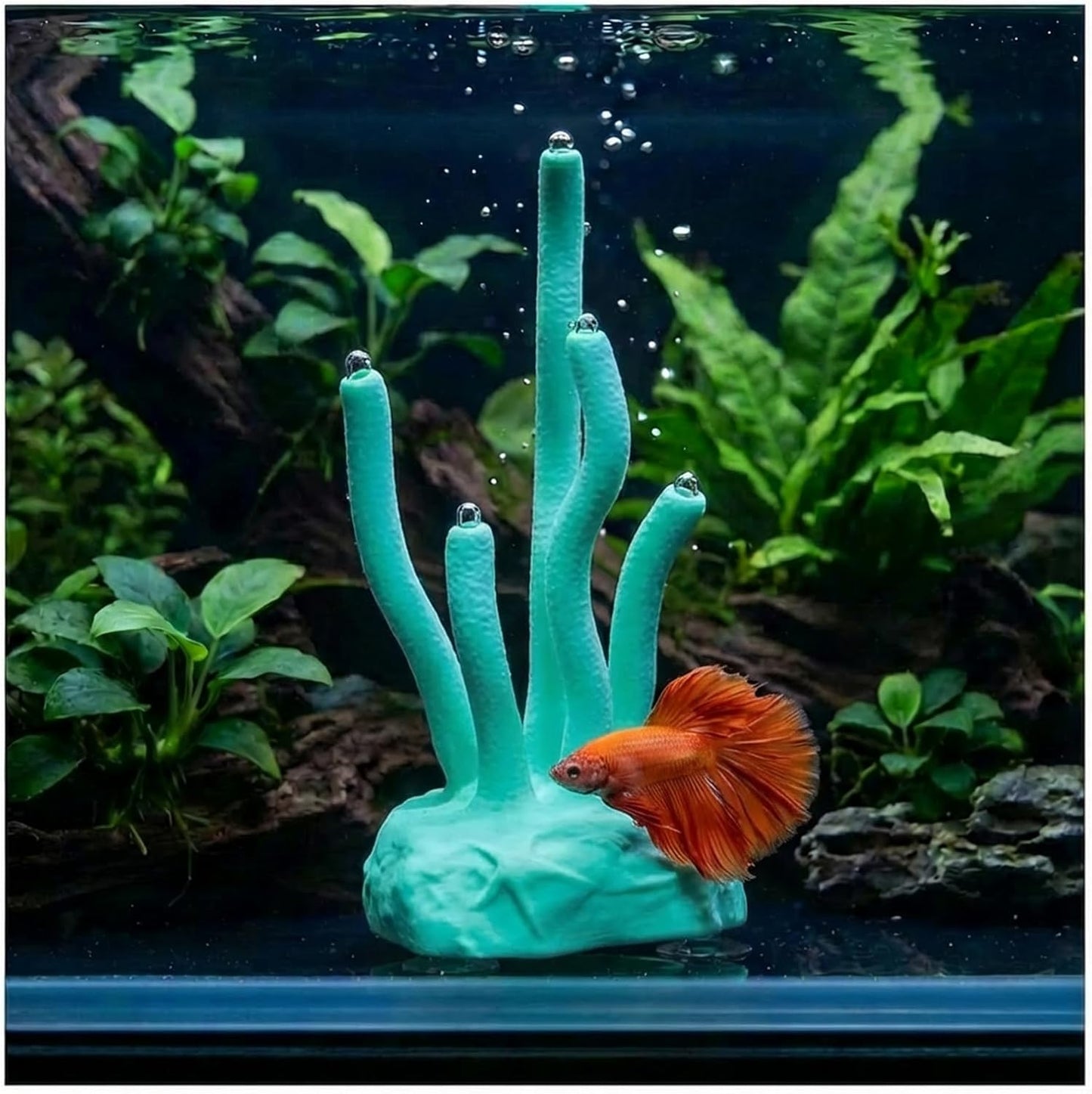 Vibrant Coral Sanctuary