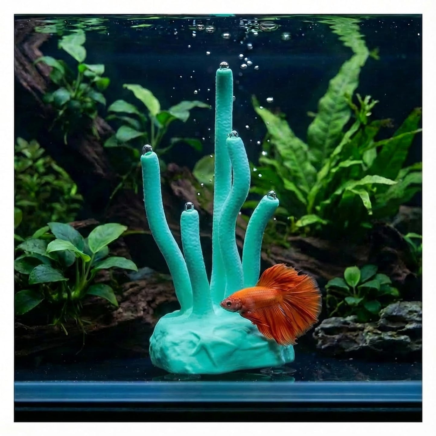 Vibrant Coral Sanctuary