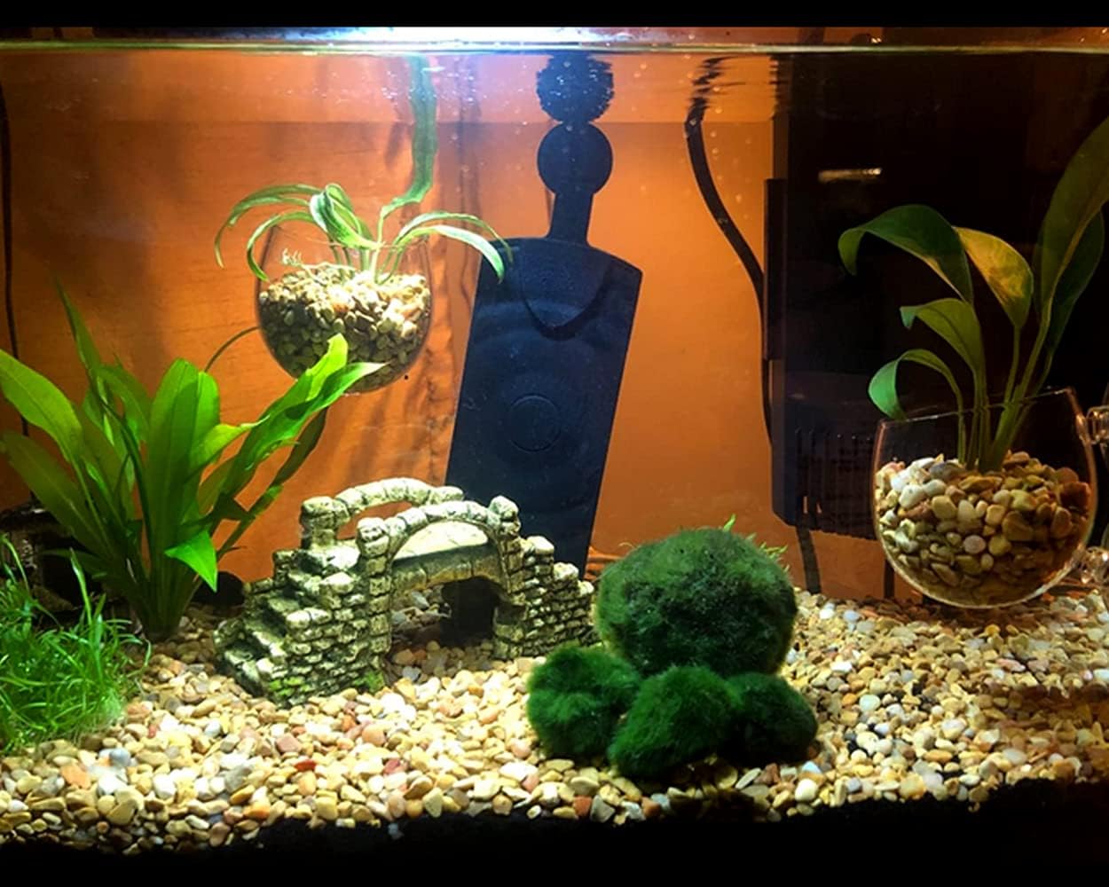 AeroAquarium™ | Die Hydro-Galerie: Glas-Flora-Halter (2er-Set) 