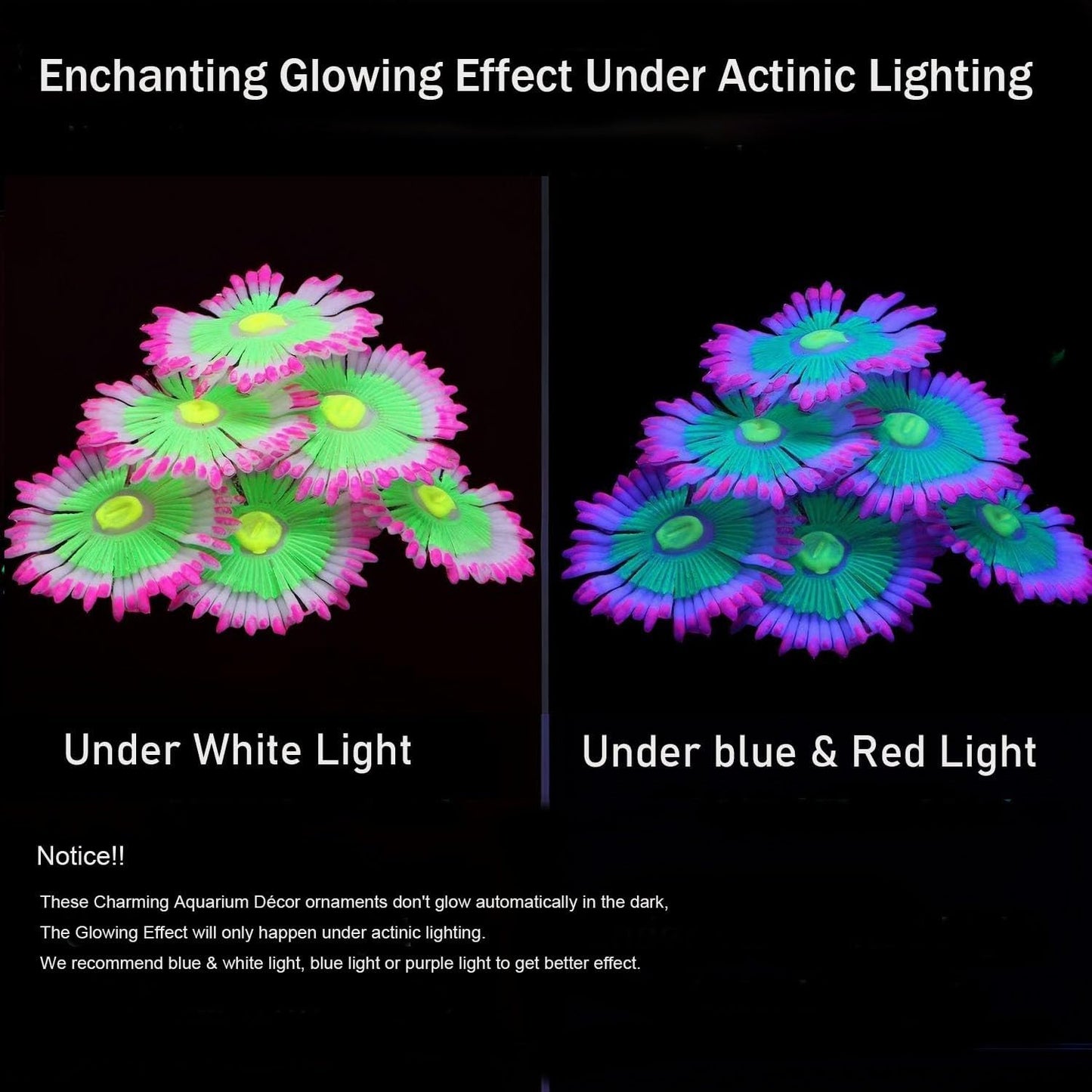 AeroAquarium™ | Die ätherische Blüte: Kinetic Glow Anemone 