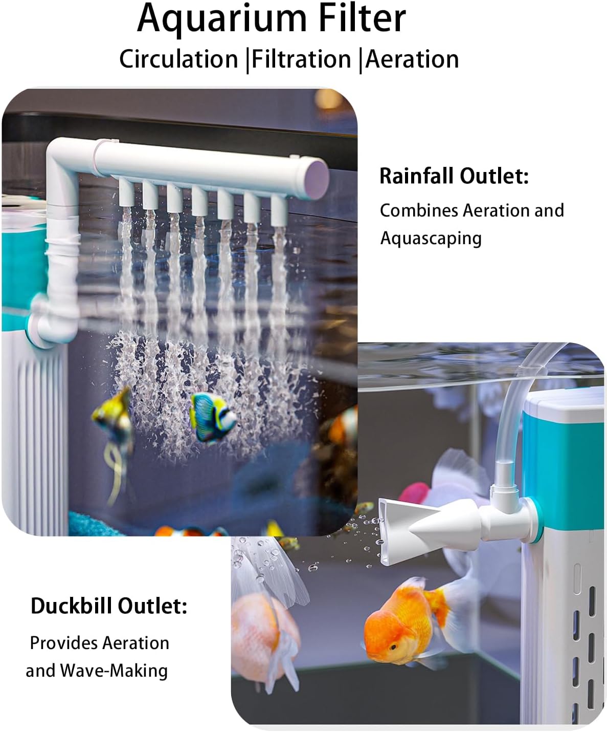 Negative Pressure Starter Kit | 3-Gallon Panoramic Sanctuary