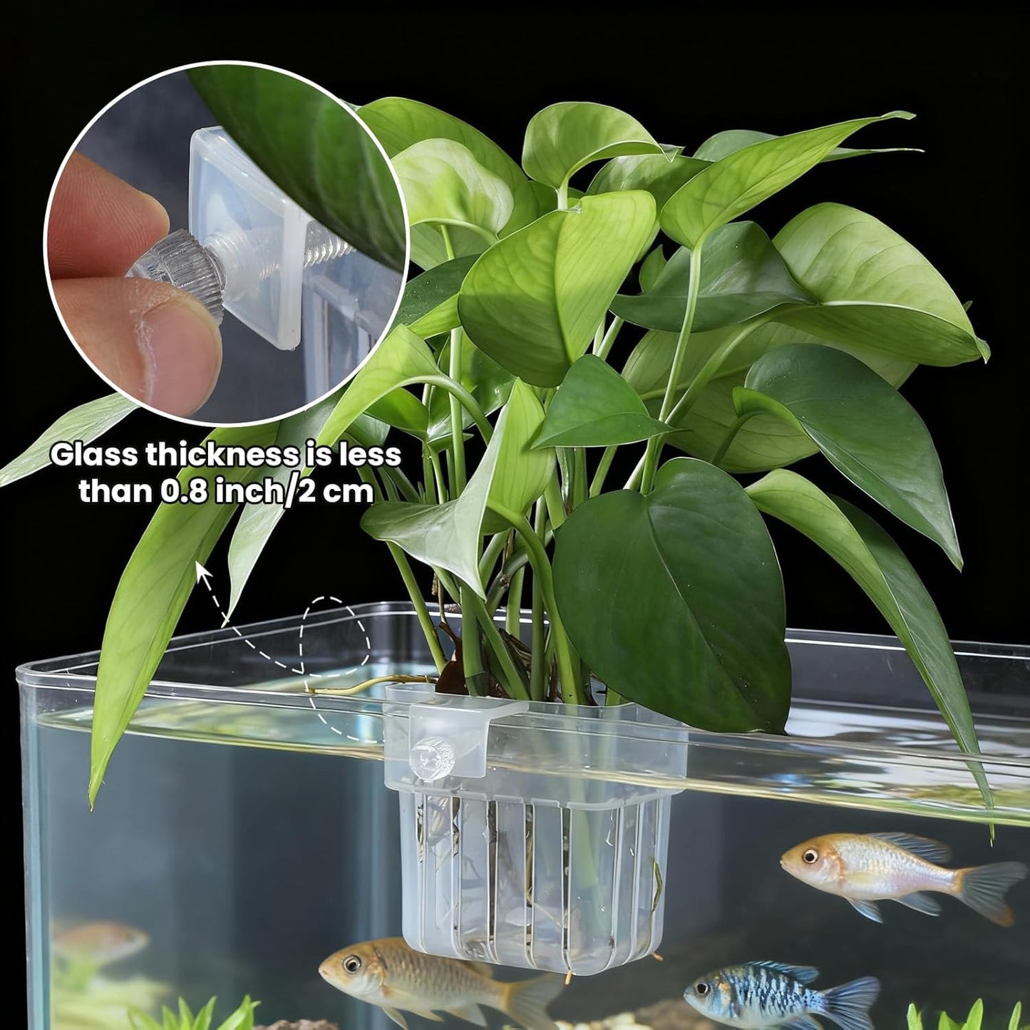 AeroAquarium™ | Der botanische Anker: Minimalistische Pflanzenstütze 