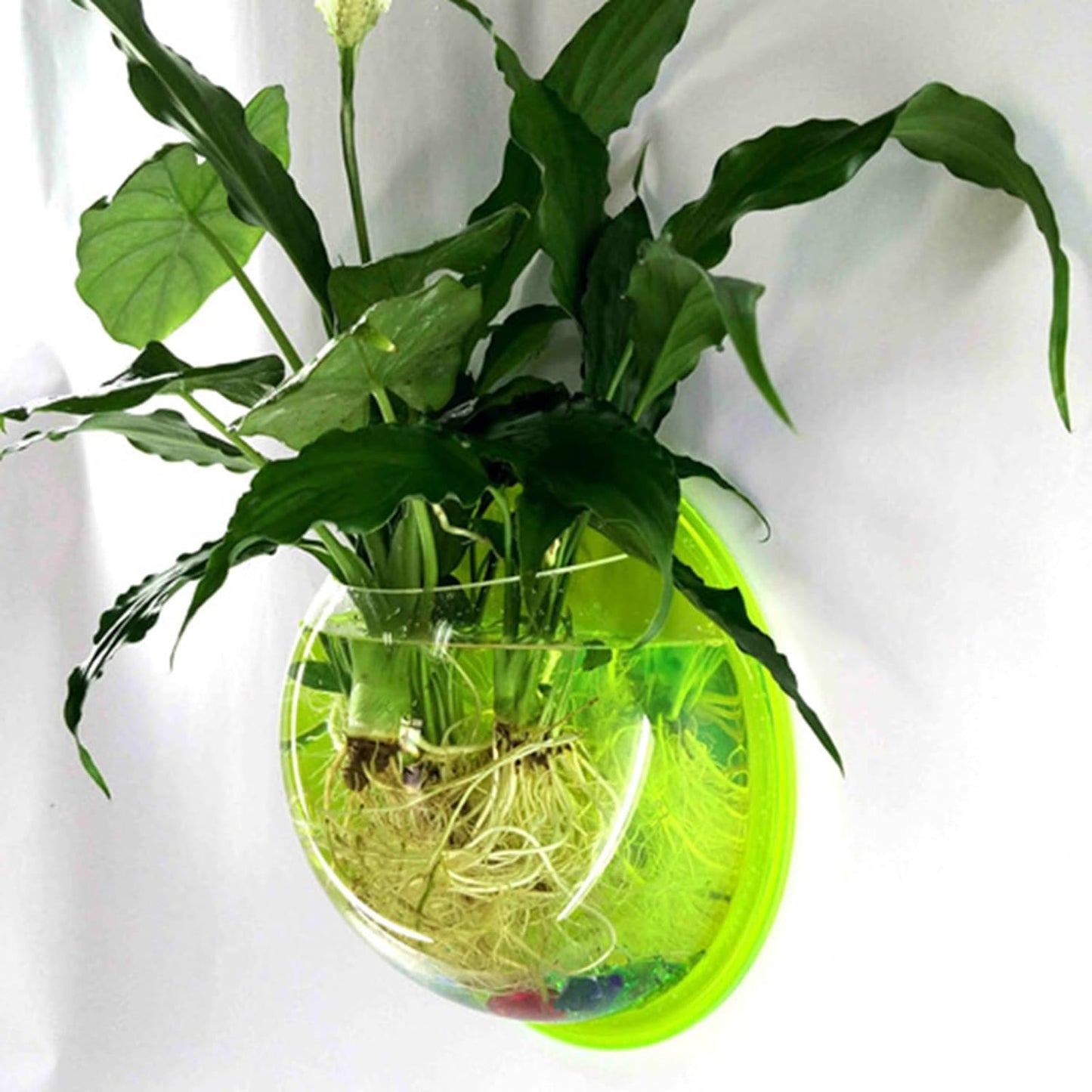 Floating Sphere Wall Sanctuary