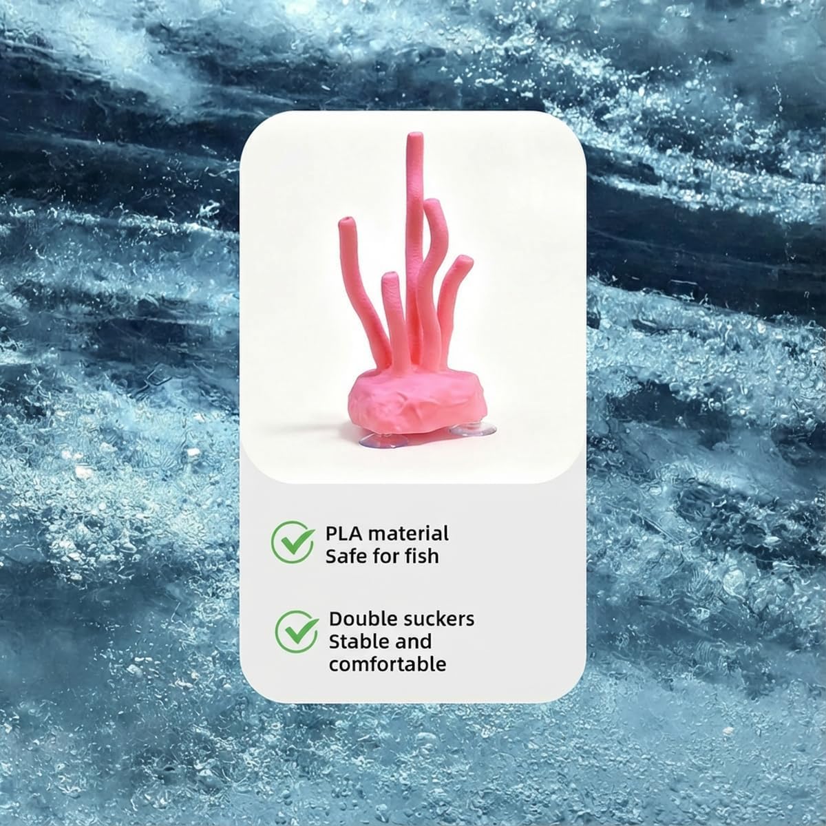 Vibrant Coral Sanctuary