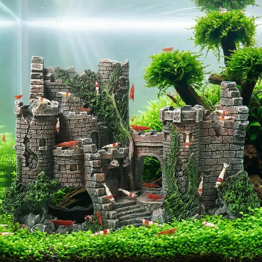 Mystical Bubbling Ruins Castle Sanctuary
