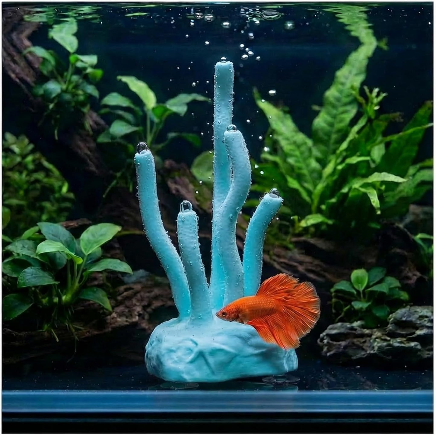 Vibrant Coral Sanctuary