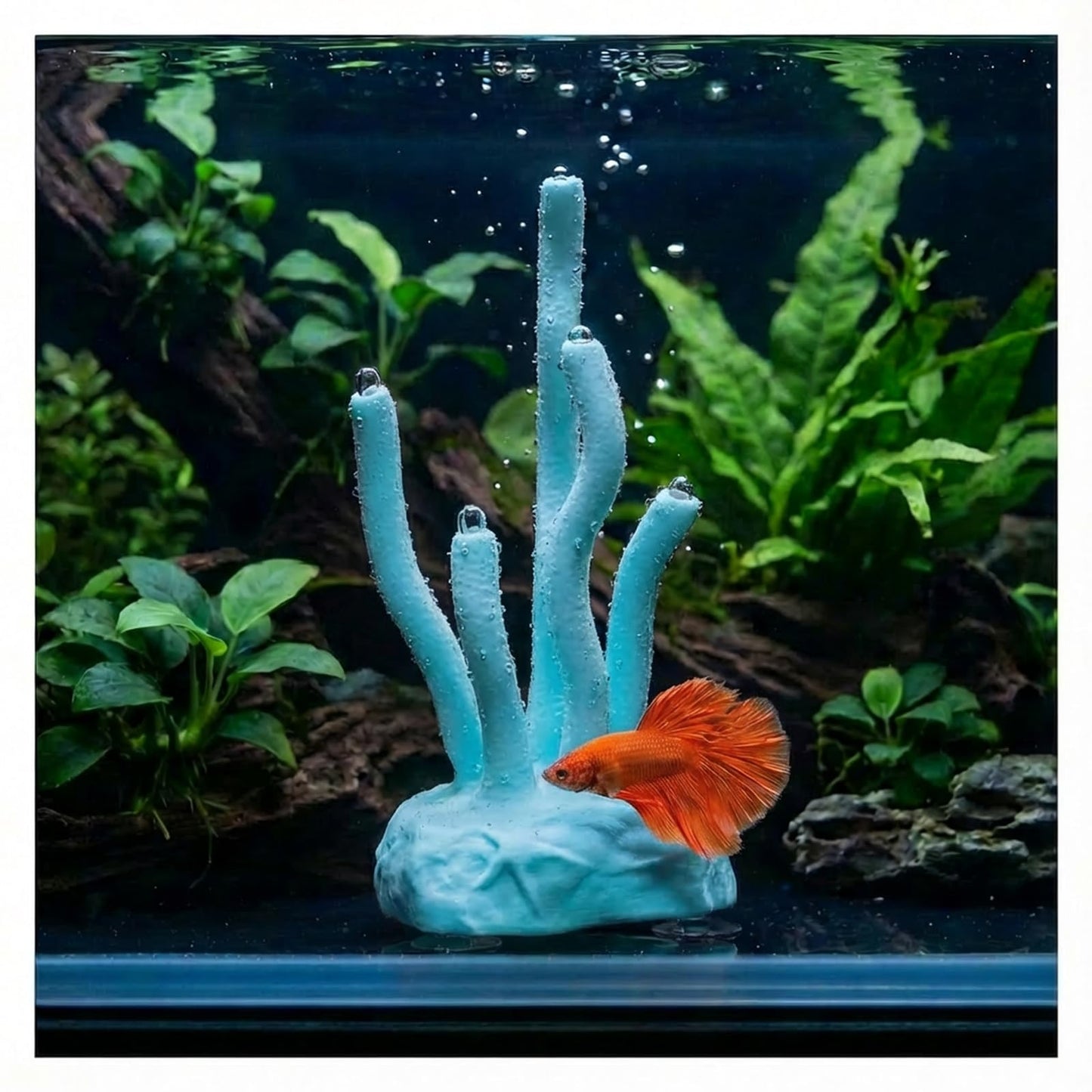 Vibrant Coral Sanctuary