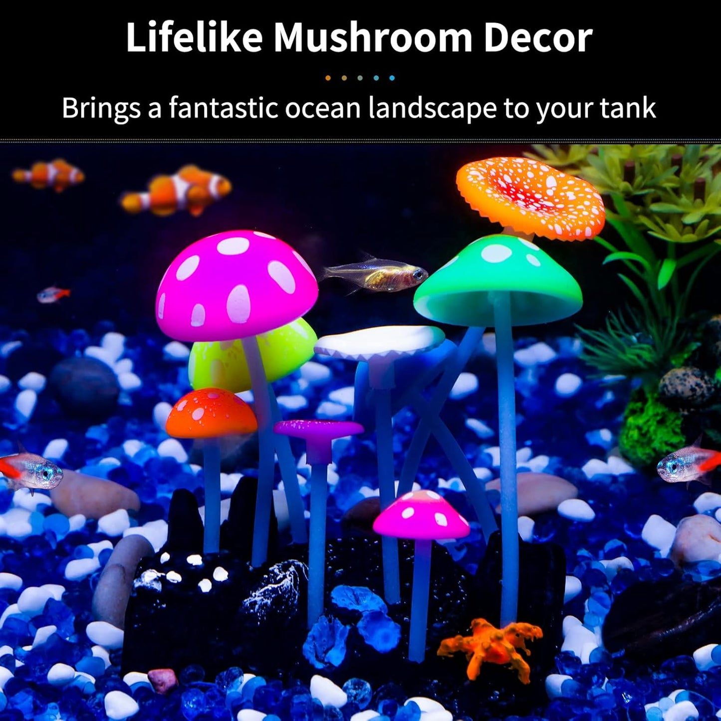 Biolume Forest Mushroom