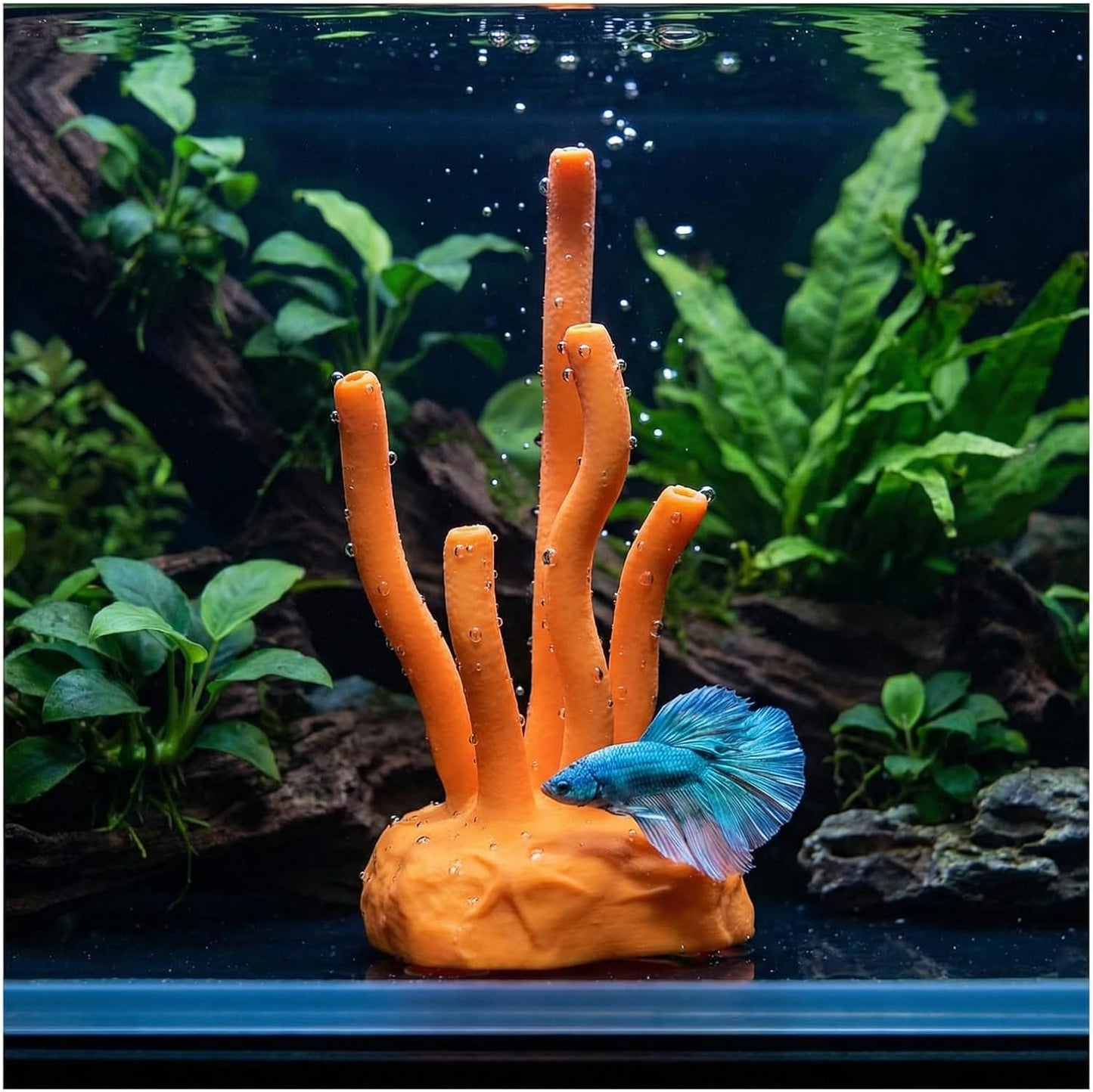 Vibrant Coral Sanctuary