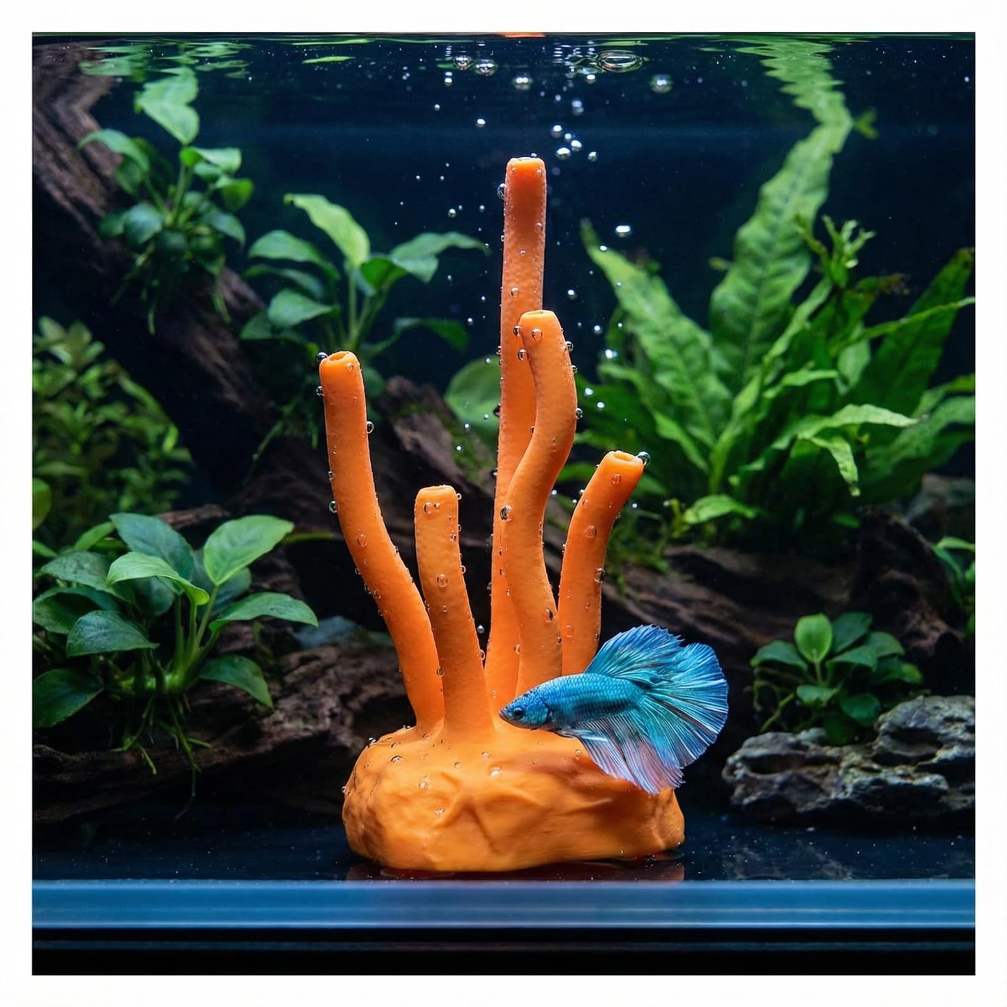 Vibrant Coral Sanctuary