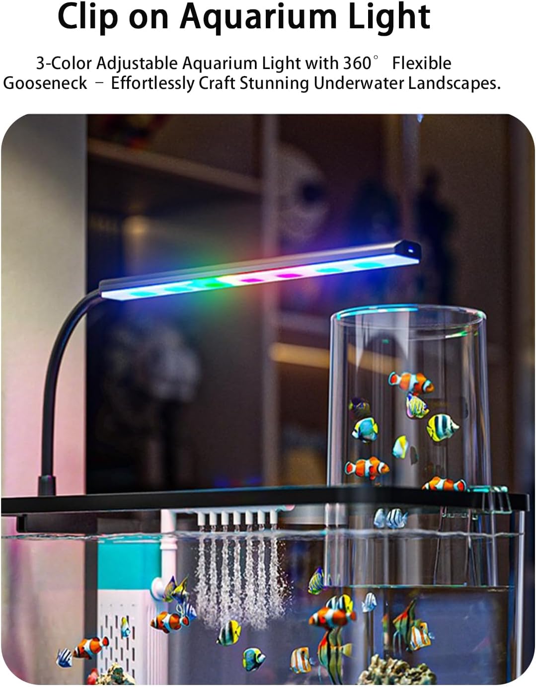 Negative Pressure Starter Kit | 3-Gallon Panoramic Sanctuary