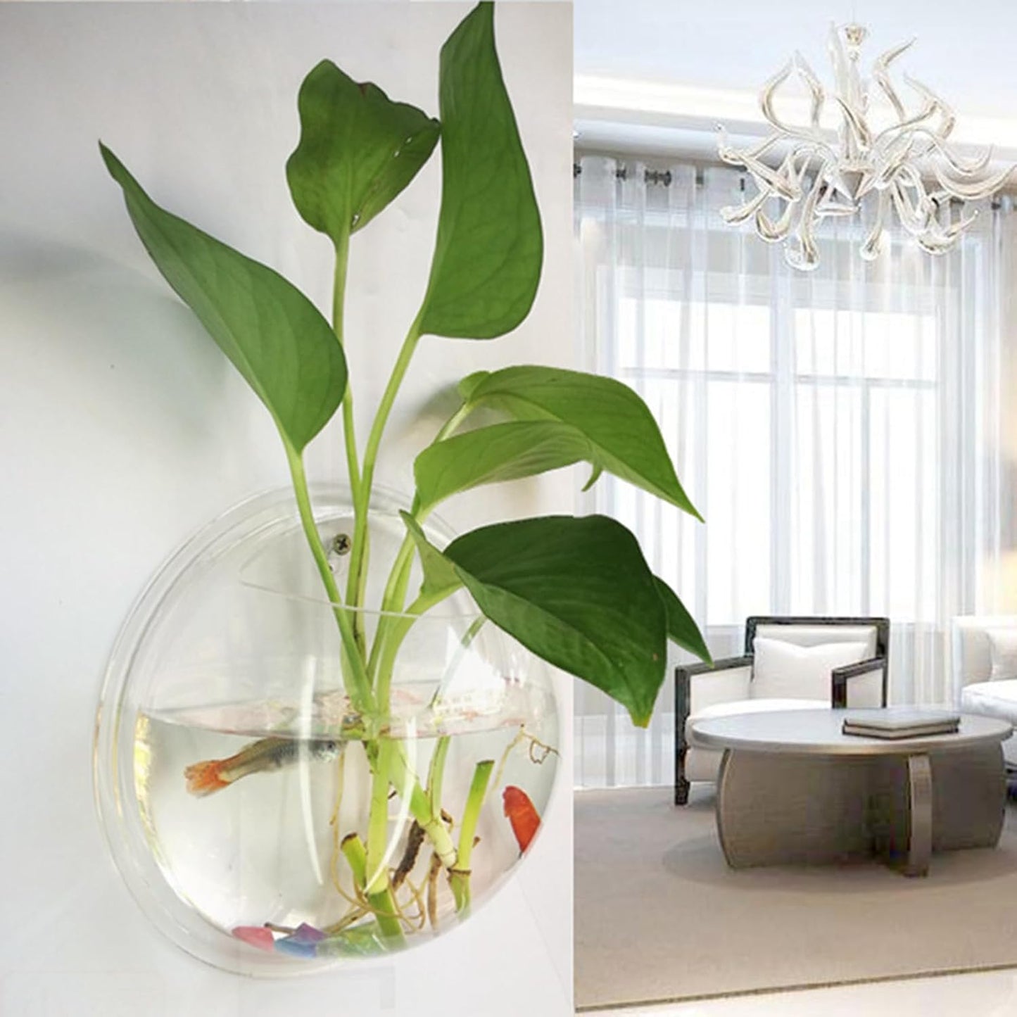 Floating Sphere Wall Sanctuary