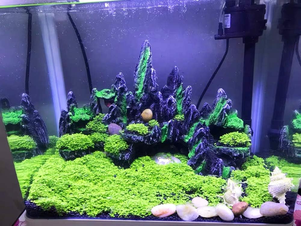 AeroAquarium™ | Der Zenith Peak: Miniatur-Alpenlandschaft 