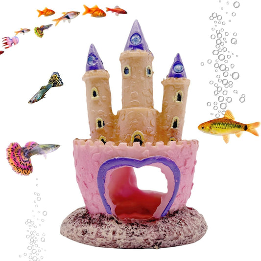 Enchanted Coral Castle Sanctuary