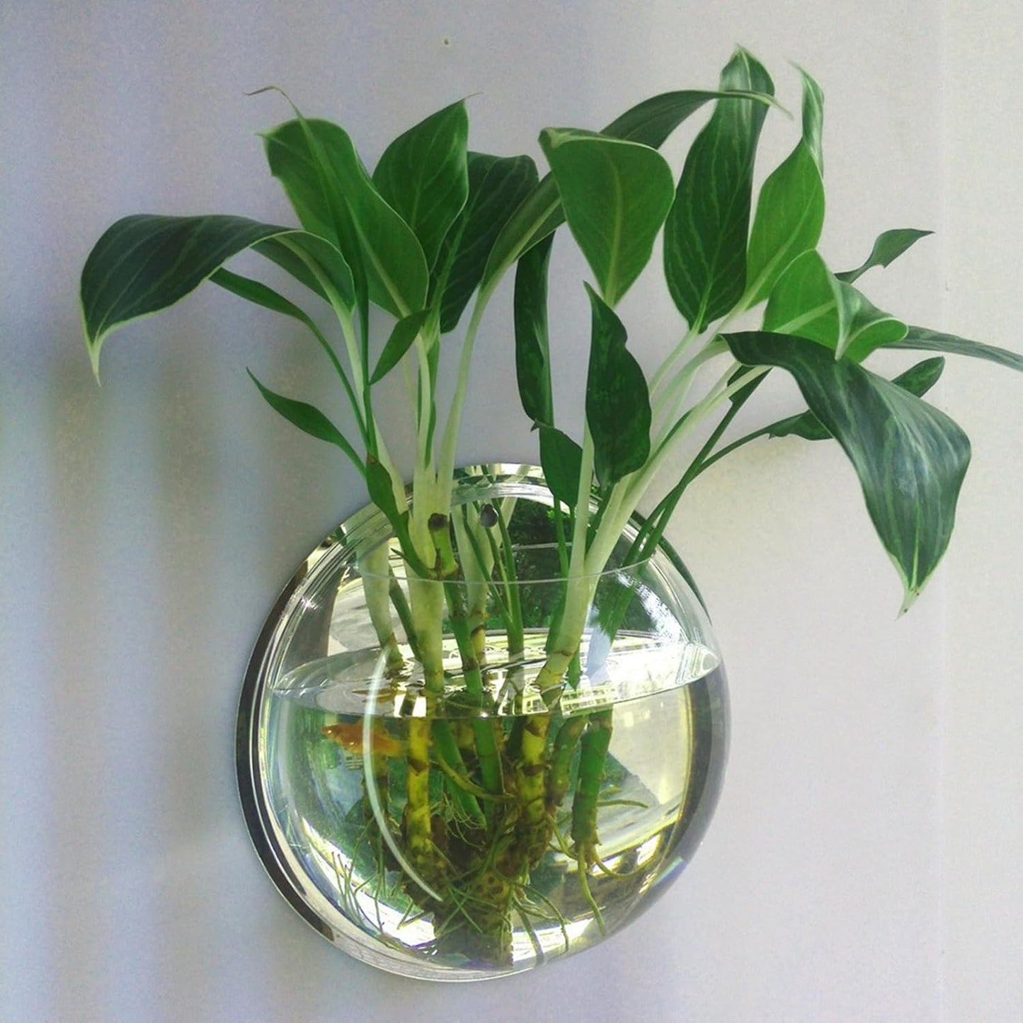 Floating Sphere Wall Sanctuary