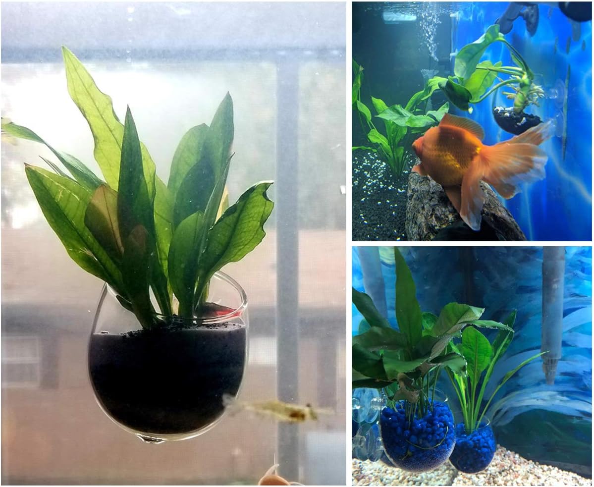 AeroAquarium™ | Die Hydro-Galerie: Glas-Flora-Halter (2er-Set) 