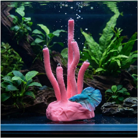 Vibrant Coral Sanctuary