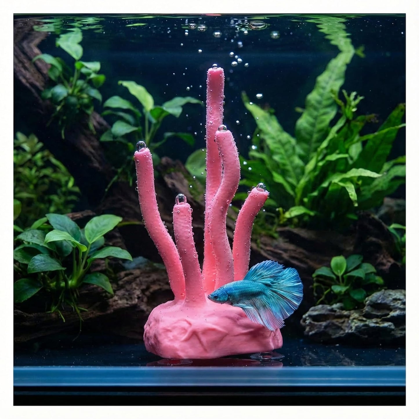 Vibrant Coral Sanctuary