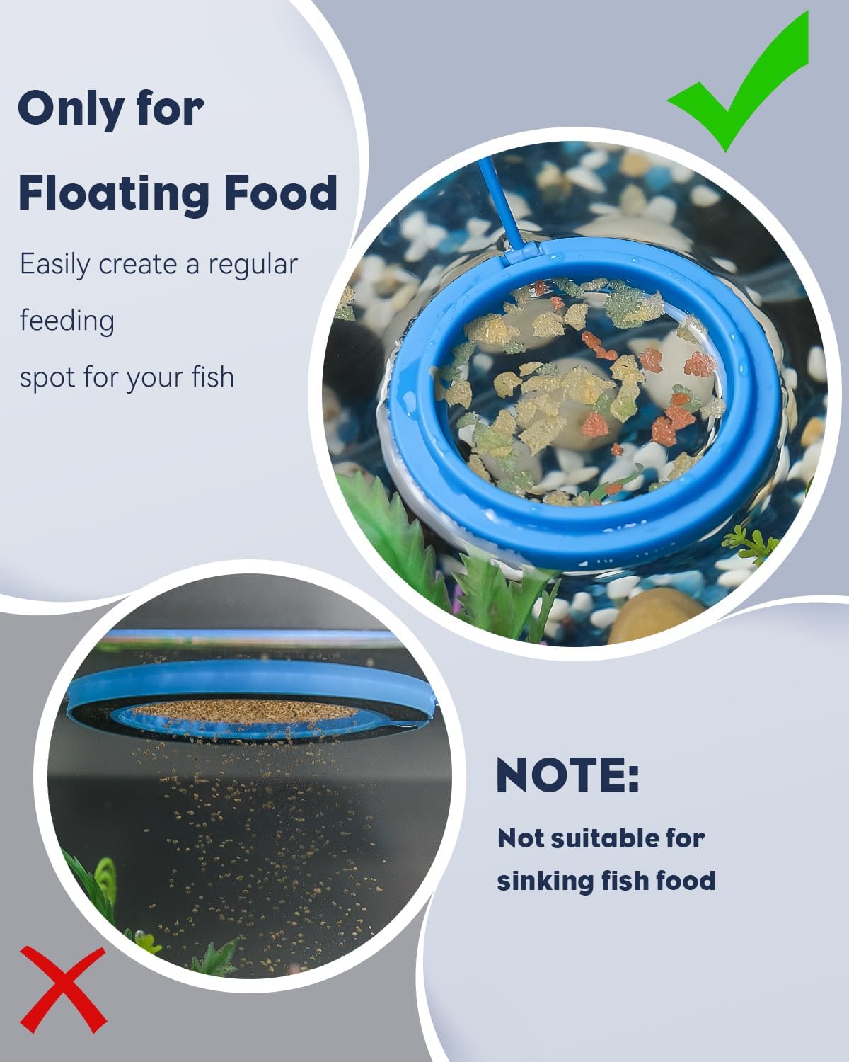 AeroAquarium™ | Der Orbit-Ring: Oberflächenmanagement-Duo 