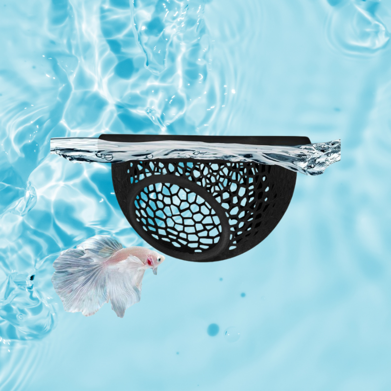 AeroAquarium™ | Die Nimbus-Kapsel: Schwimmendes Betta-Schutzgebiet 