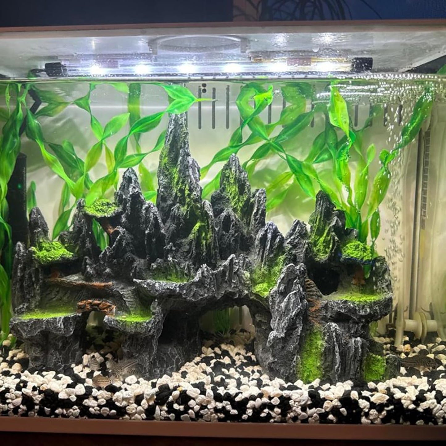 AeroAquarium™ | Der Zenith Peak: Miniatur-Alpenlandschaft 