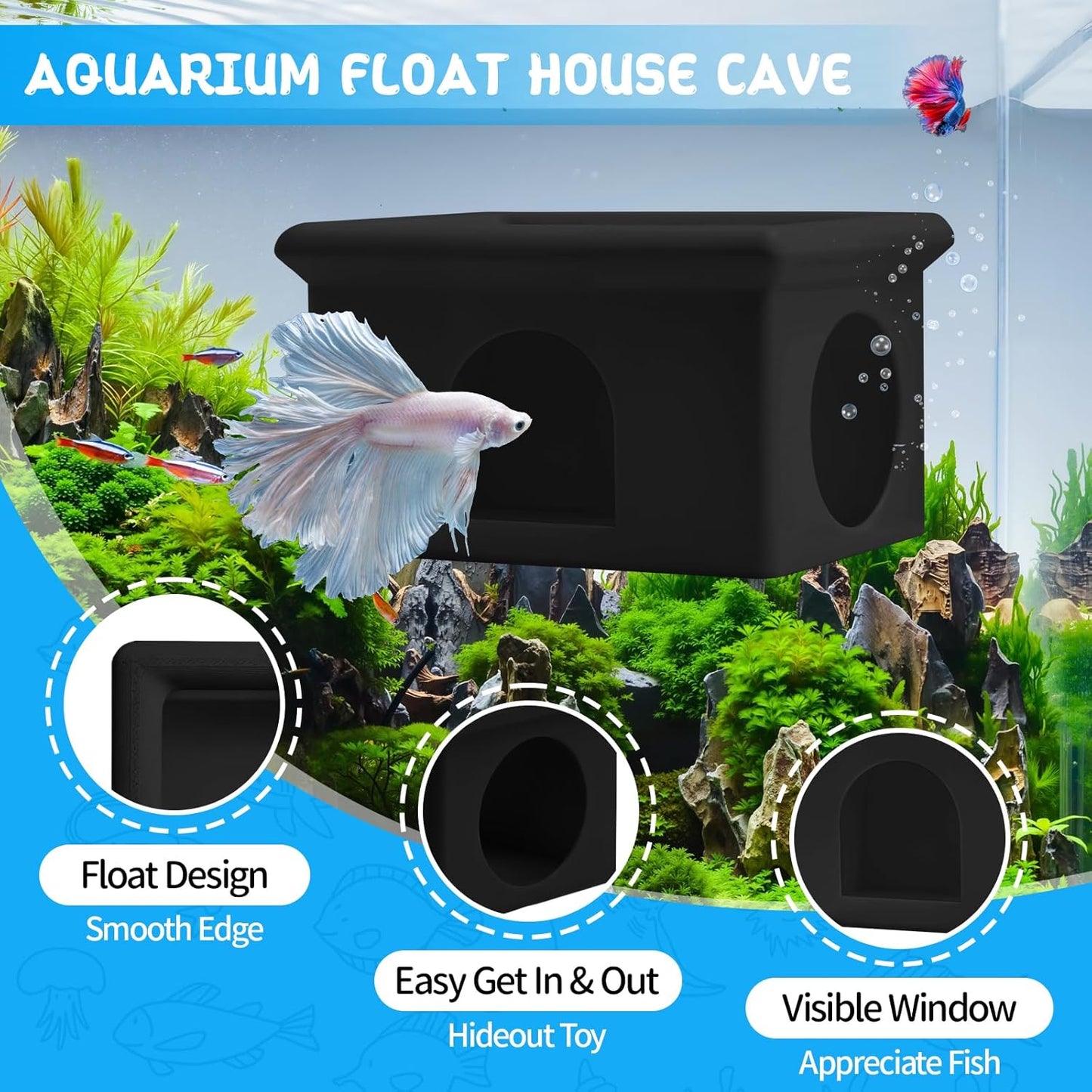 3-in-1 Betta Floating Sanctuary