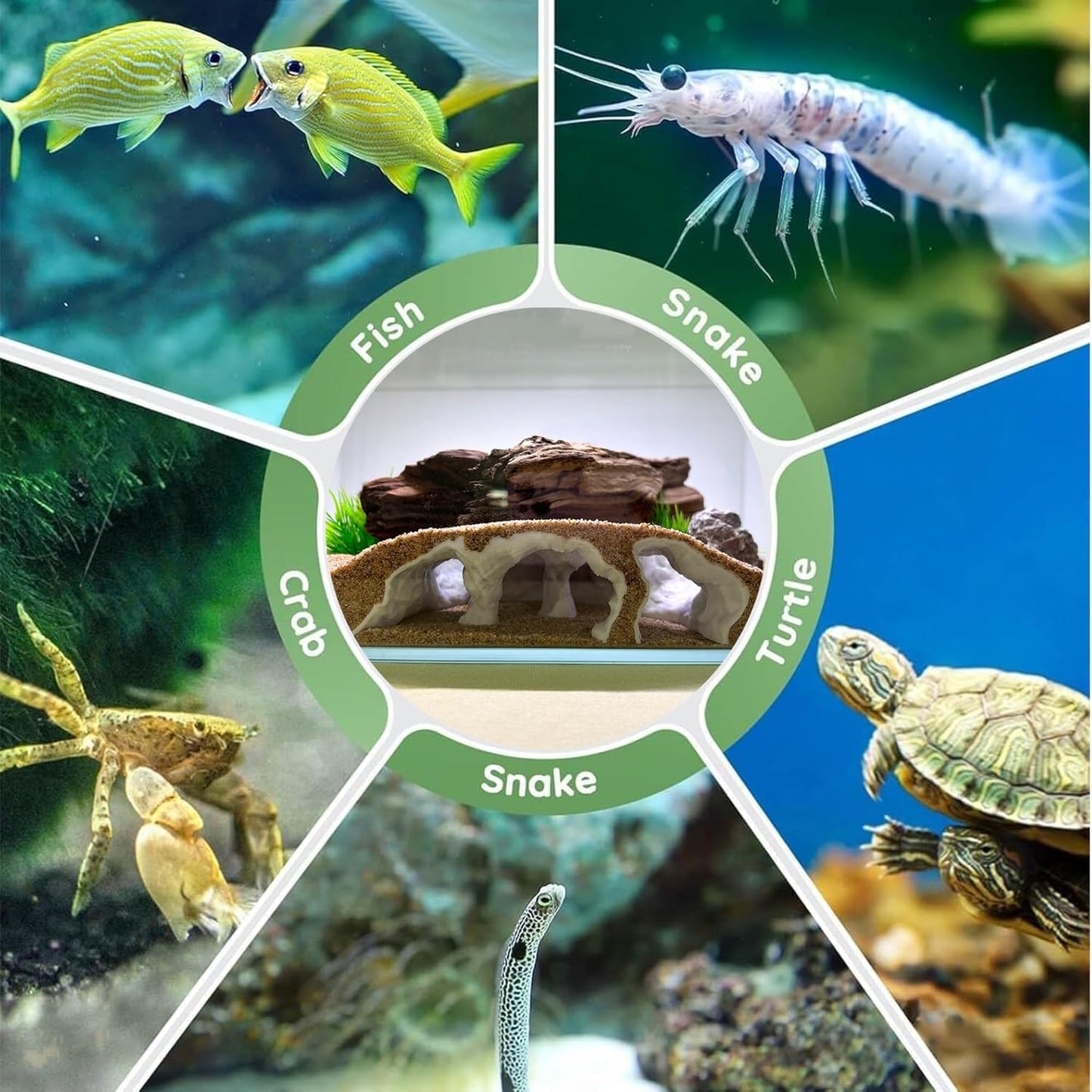 AeroAquarium™ | Der modulare Bau: Lebensraumsystem mit mehreren Wegen 