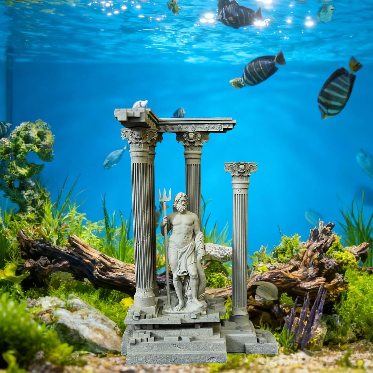 Roman Column Ruins | Classical Empire Sanctuary