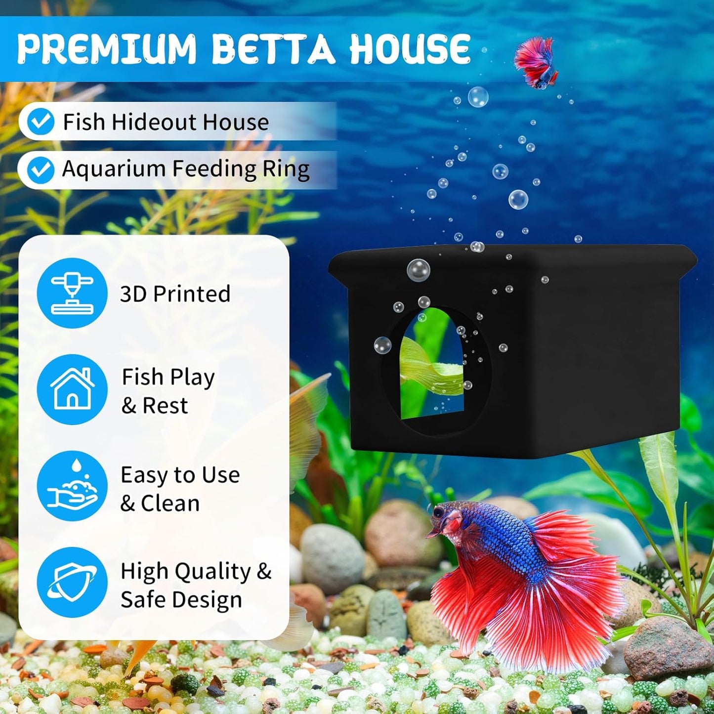 3-in-1 Betta Floating Sanctuary